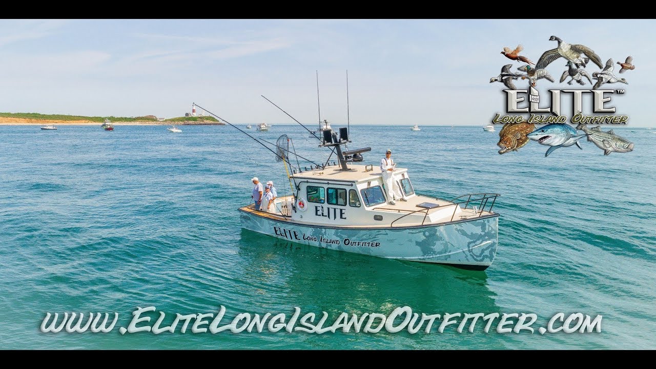 Montauk Fishing HD June 2018 (Elite Long Island Charters) YouTube