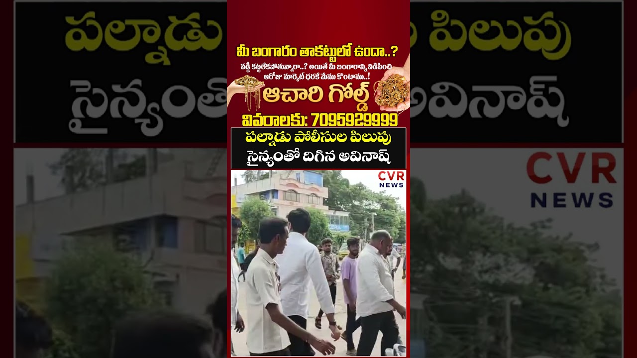 పల్నాడు పోలీసుల పిలుపు సైన్యంతో దిగిన అవినాష్ | Devineni Avinash | CVR NEWS