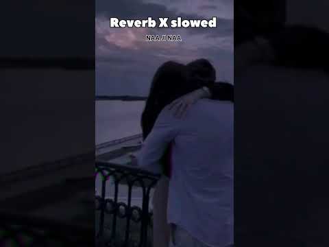 Naa Ji Naa Harrdy Sandhu Viral Viralshort Slowedandreverb 