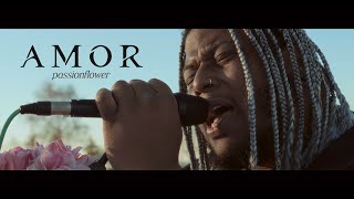 Passionflower - Amor (Official Music Video)