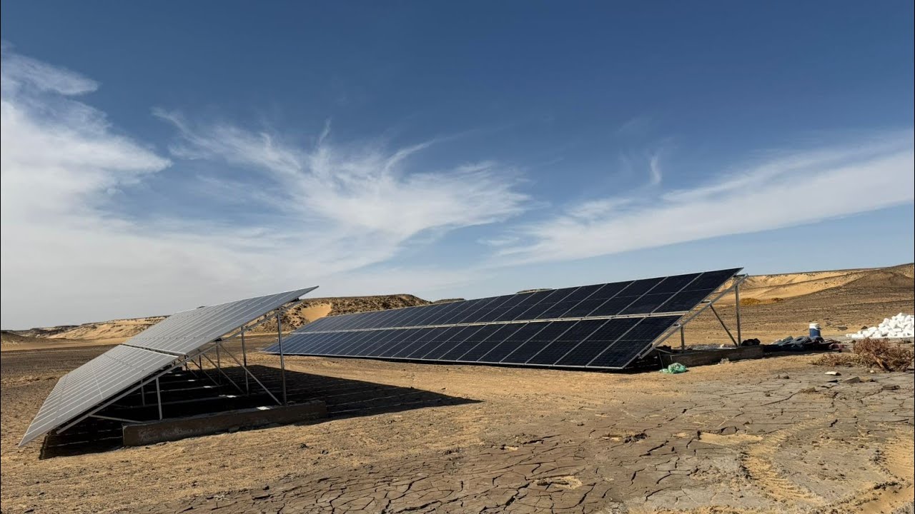 كلمتين محشورين في زوري لأي مغترب أو مستثمر زراعي هيشتري أرض ويزرعها نخل ومحاصيل ! قبل ما تضيع فلوسك 