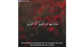 احمد النفيس - سورة مريم || فناداها من تحتها ألا تحزني قد جعل ربك تحتك سريا