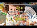 Как удалить масляную краску с ткани? ЛЕГКО! Без растворителей.