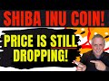 SHIBA INU COIN - PRICE IS STILL GOING DOWN! HONEST UPDATE ABOUT WHAT IS GOING ON RIGHT NOW!