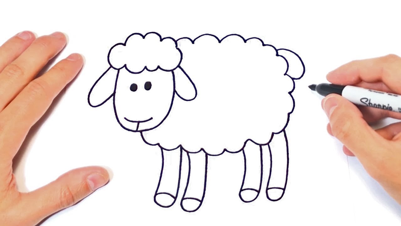 How to Draw a Sheep  Envato Tuts