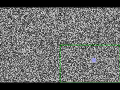 Empirical Thesis Experiment 1 Demo (Multiple Object Tracking/Twinkle Goes Illusion)