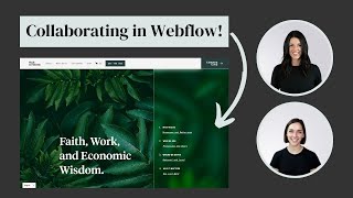 Collaborating in Webflow | How to work efficiently with two designers || Crema