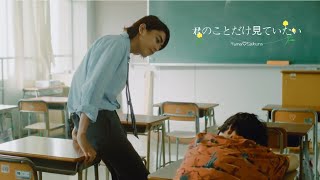 Download Lagu Kimi no Koto Dake Mite Itai ▶「You’re the only one I want to see you」 MP3 Download Lagu Kimi no Koto Dake Mite Itai ▶「You’re the only one I want to see you」 MP3
