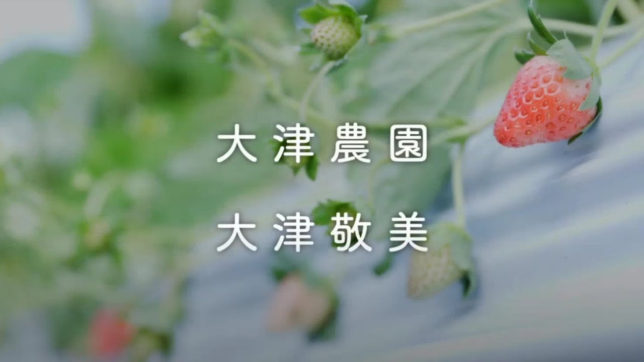 【大分県】おんせん県のアグリウーマン　～（由布市　いちご編）～