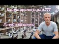 Голуби или квартиранты Командировка Pigeons or lodgers Business trip