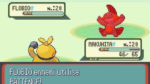 Pokémon Ruby Version (French) - Rival Battle #2