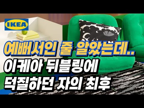뒤블링에 덕질하던 사람이 떠먹여주는 안락의자