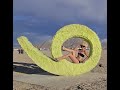 Sarasota Tim Hater The New York Dan Loner-Dimwit Carnival Cruise 2025 @NewYorkDan #sarasotatim