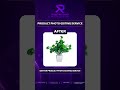 Product Photo Editing Service