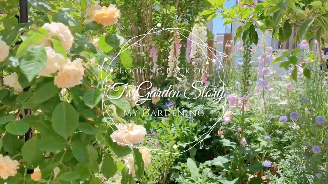 《小花咲くナチュラルガーデンを夢見て》10年前・2年前・1年前の庭から選りすぐりのシーンをピックアップ《T's Gardenのガーデニング》