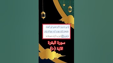 الآية ٤٠ تلاوة خاشعة ومؤثرة للشيخ الزين محمد احمد برواية حفص عن عاصم