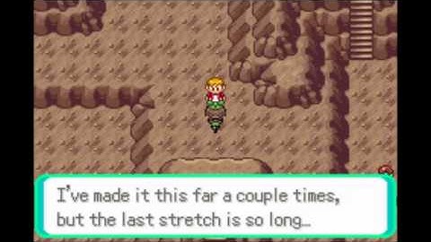 Pokémon Emerald Speed Run Segment 29