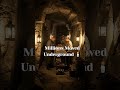 6 Million Skeletons Beneath Paris 😳 The Dark Secret of the Catacombs #shorts