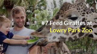 7 Best Things To Do in Central Florida With Kids - TravelFeed