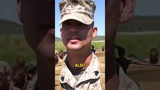 Real Combat, Military Technology & Morale Compared