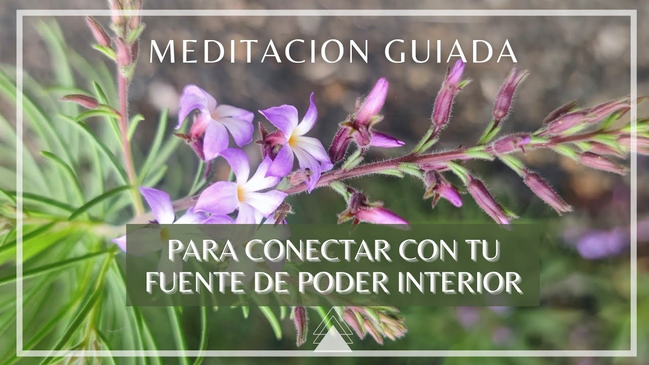 MEDITACIÓN GUIADA PARÁ CONECTAR CON TU FUENTE DE PODER INTERIOR - YouTube