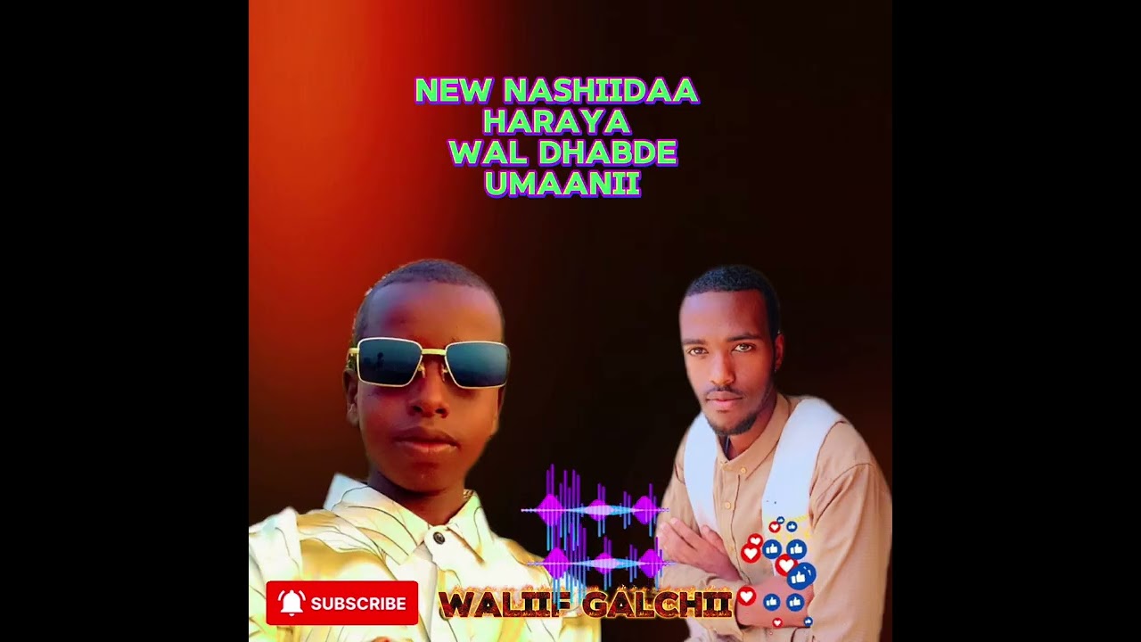 NASHIIDAA haarawa haala yerootiifi waahee jimaatiis if keysaa qabdu itti dhihaadhaa 