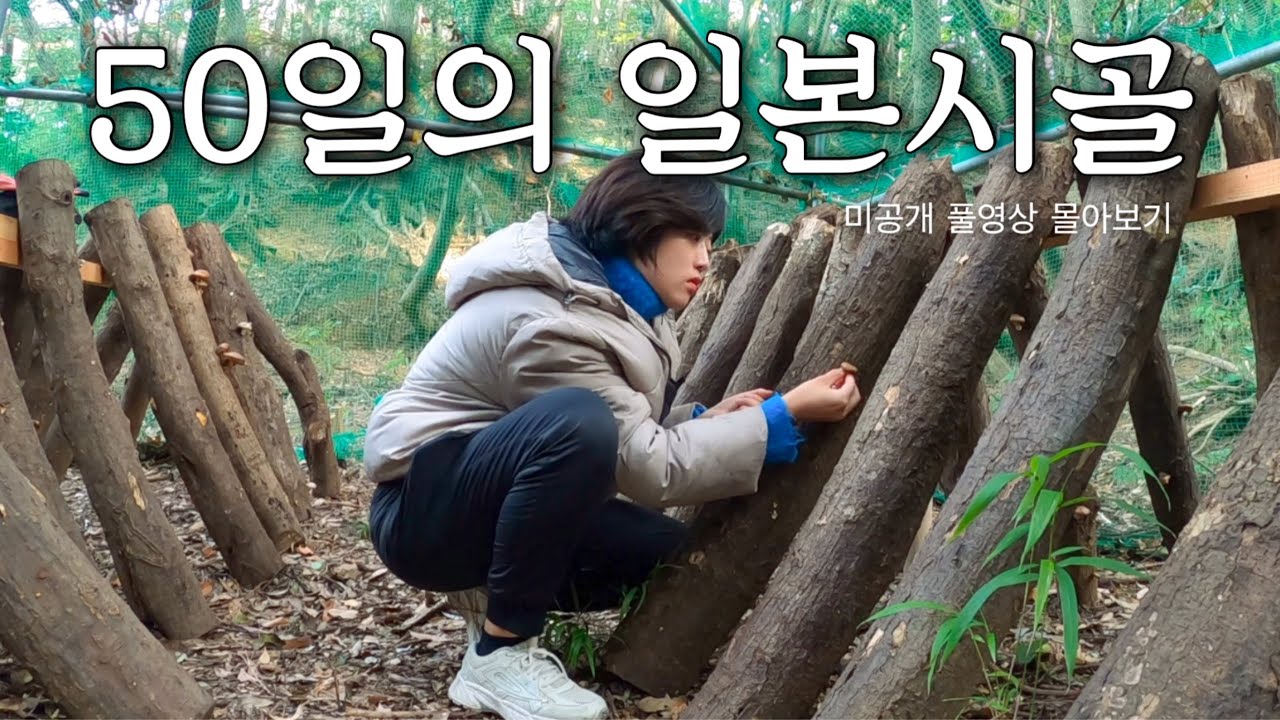 일본 시골의 겨울, 50일의 기록 [미공개 풀영상 몰아보기]