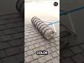 Stamped Flooring — Style Meets Strength!”