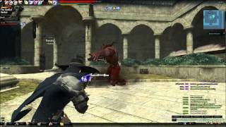 Vindictus Kai Crossgun Ingkells solo (with break off)