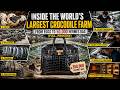 Inside the World's Largest Crocodile Farm | From Eggs to $50,000 Hermès Bag (Full Process)