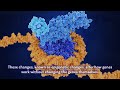 Mechanism Linking Preconception Arsenic Exposure and Diabetes in Offspring Revealed, May 2025