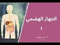 الصف الرابع الابتدائي/الفصل الدراسي الثاني/الجهاز الهضمي 1