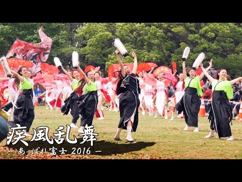[4K] 疾風乱舞 – あっぱれ富士 2016 – 芝生流し会場 | Yosakoi Team "Shippu-Ranbu"