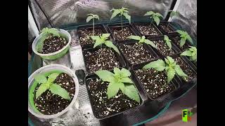 Inside the Garden: A Sneak Peek at the Space Where It All Goes Down