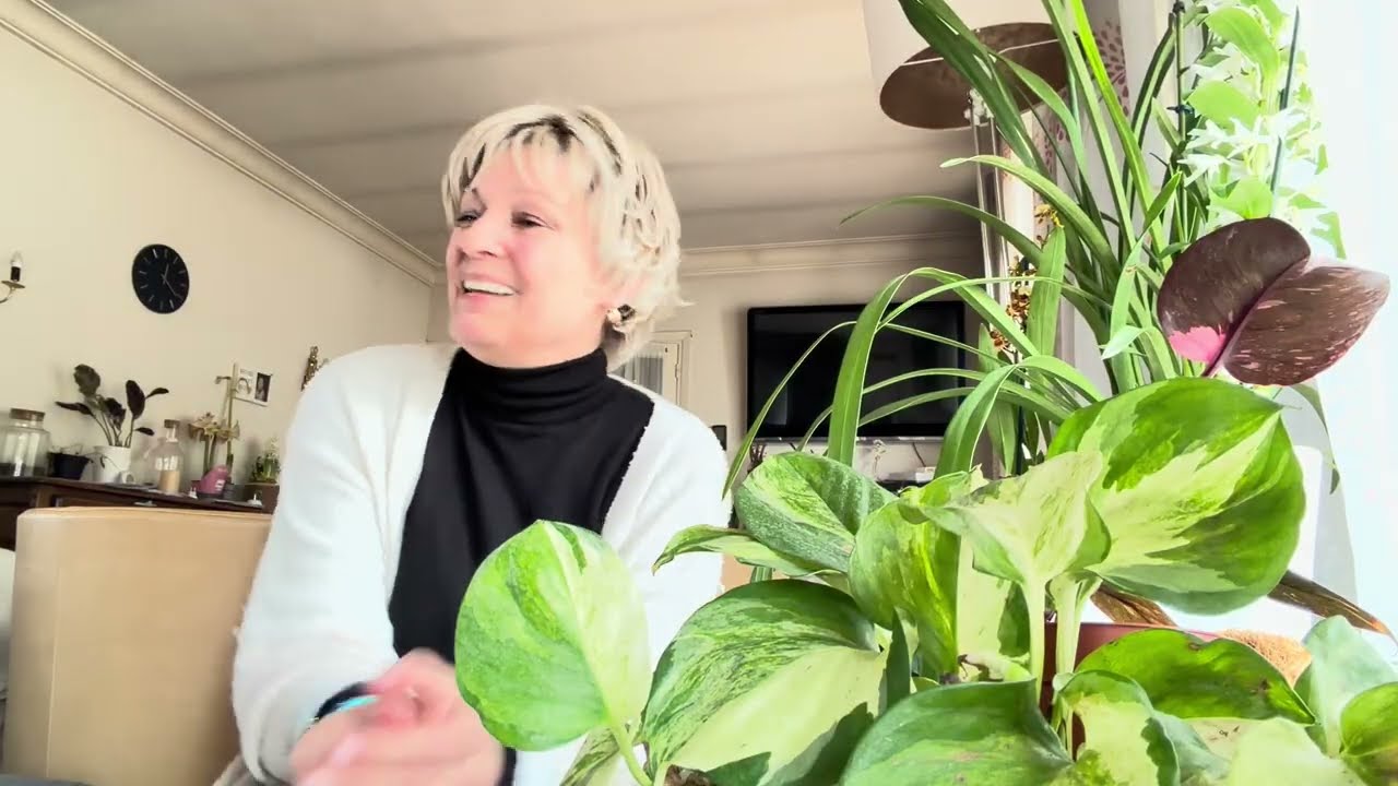 Un peu de perte/action /rempotage/tres varié /nouvelles succulentes 🥰#youtubevideo #plantes