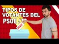 Los 9 tipos de VOTANTES del PSOE | InfoVlogger