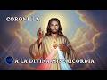 CORONILLA A LA DIVINA MISERICORDIA por tus Intenciones y Casos Imposibles 🙏✨