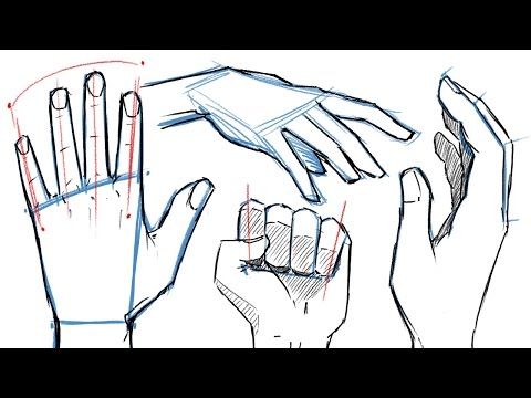 How To Draw Hands And Hand Poses Youtube