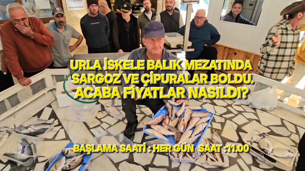 URLA İSKELE BALIK MEZATI 03.11.2025 YATAY ÇEKİM