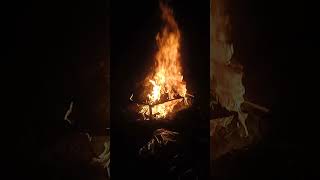 🔥the burning fire warms the body #fireasmr#asmrfireplace#relaxingfireplace #relaxingnature