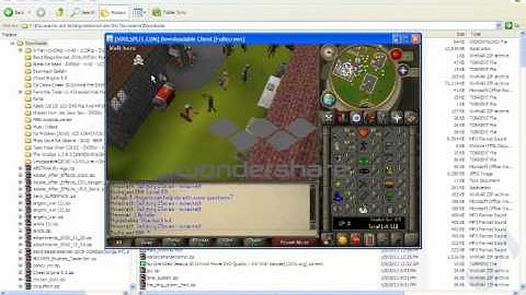 Runescape private server + cheat