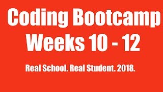 Celebrity Coding Bootcamp Weeks 10-12 Catch up Net Worth