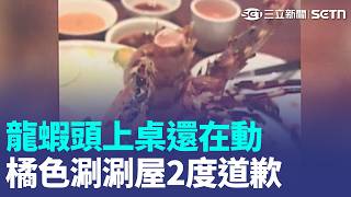 活龍蝦上桌吞負評 橘色涮涮屋:不再活體上桌 星巴克新制挨轟太誇張 去冰不補奶'只剩半杯' 中職總冠軍首見龍象大戰 7場全在台北大巨蛋【強打最鮮聞】｜三立新聞LIVE