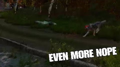 Your average DayZ experience...