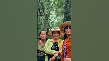 Cùng Trải nghiệm Rừng Nhiệt Đới tại VQG Cát Tiên #dulich #namcattien #travel #xuhuongyoutube