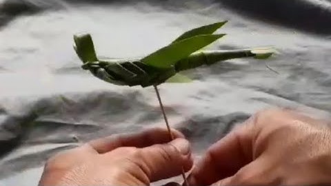 Hướng Dẫn Cách Làm Con Chuồn Chuồn Bằng Lá Dừa