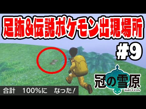 あしあと100 達成 冠の雪原のあしあとの場所 伝説ポケモン出現場所 ポケットモンスターソード シールド 冠の雪原実況 9 Youtube