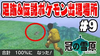 あしあと100 達成 冠の雪原のあしあとの場所 伝説ポケモン出現場所 ポケットモンスターソード シールド 冠の雪原実況 9 Youtube