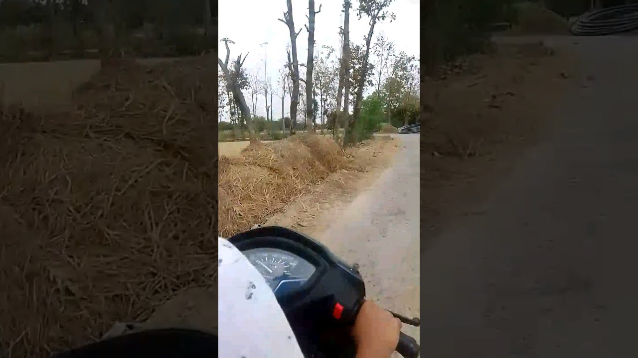 🛵🤩 | 