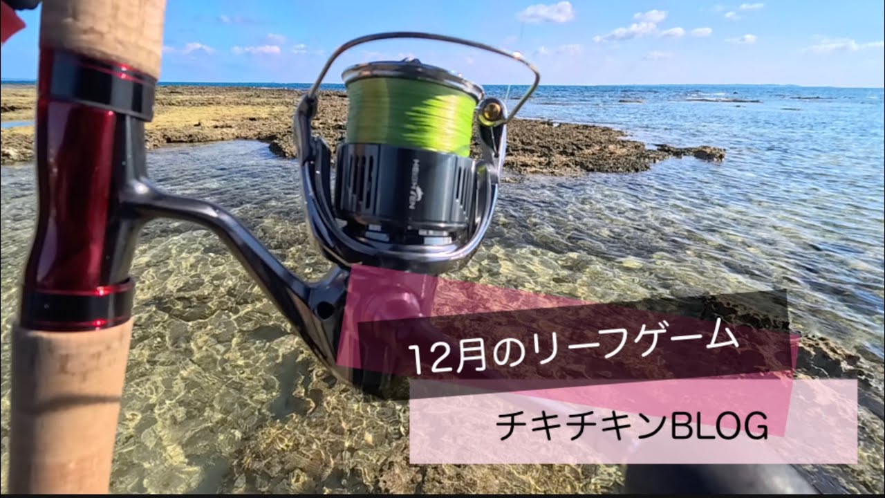 ［沖縄］12月のリーフゲーム［ルアーフィッシング］#沖縄 #釣り #ルアー釣り #fishing #fishingvideo #HEIGHTEN #TWINPOWER　#替えスプール